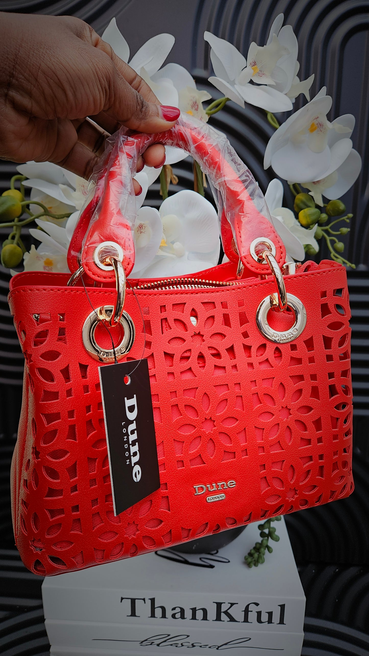 Dune Red Cut Out Crossbody Bag - Authentic Retail Product