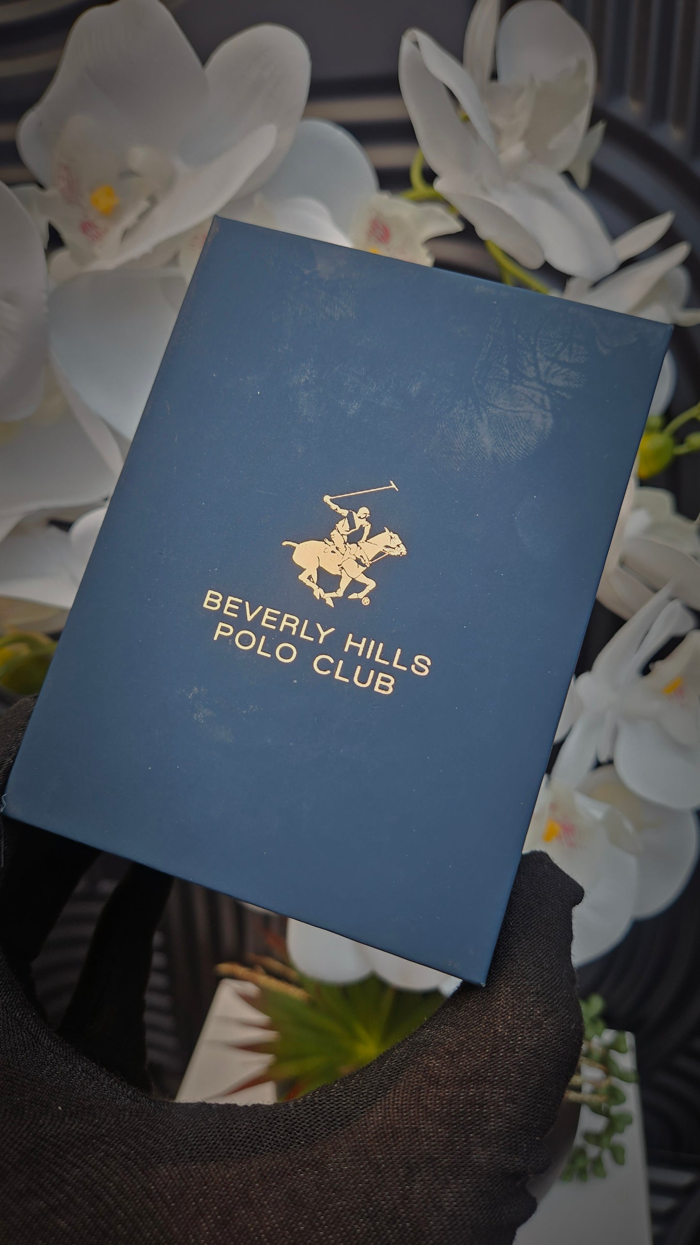 Beverly Hills Polo Club Silver Watch with Black Dial