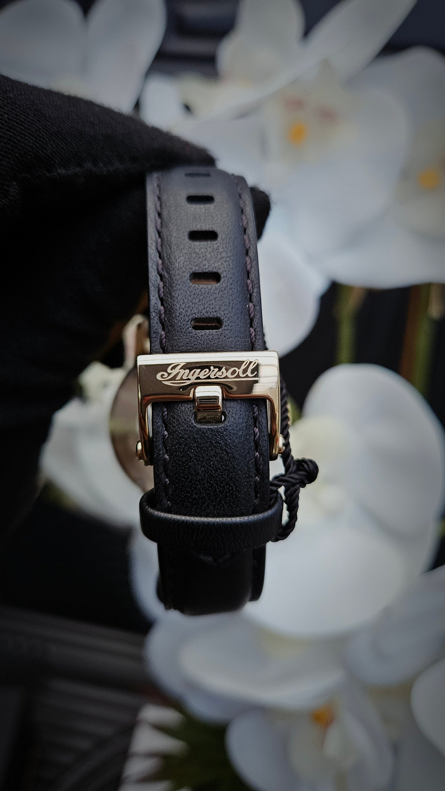 Black & Gold Tone Leather Watch