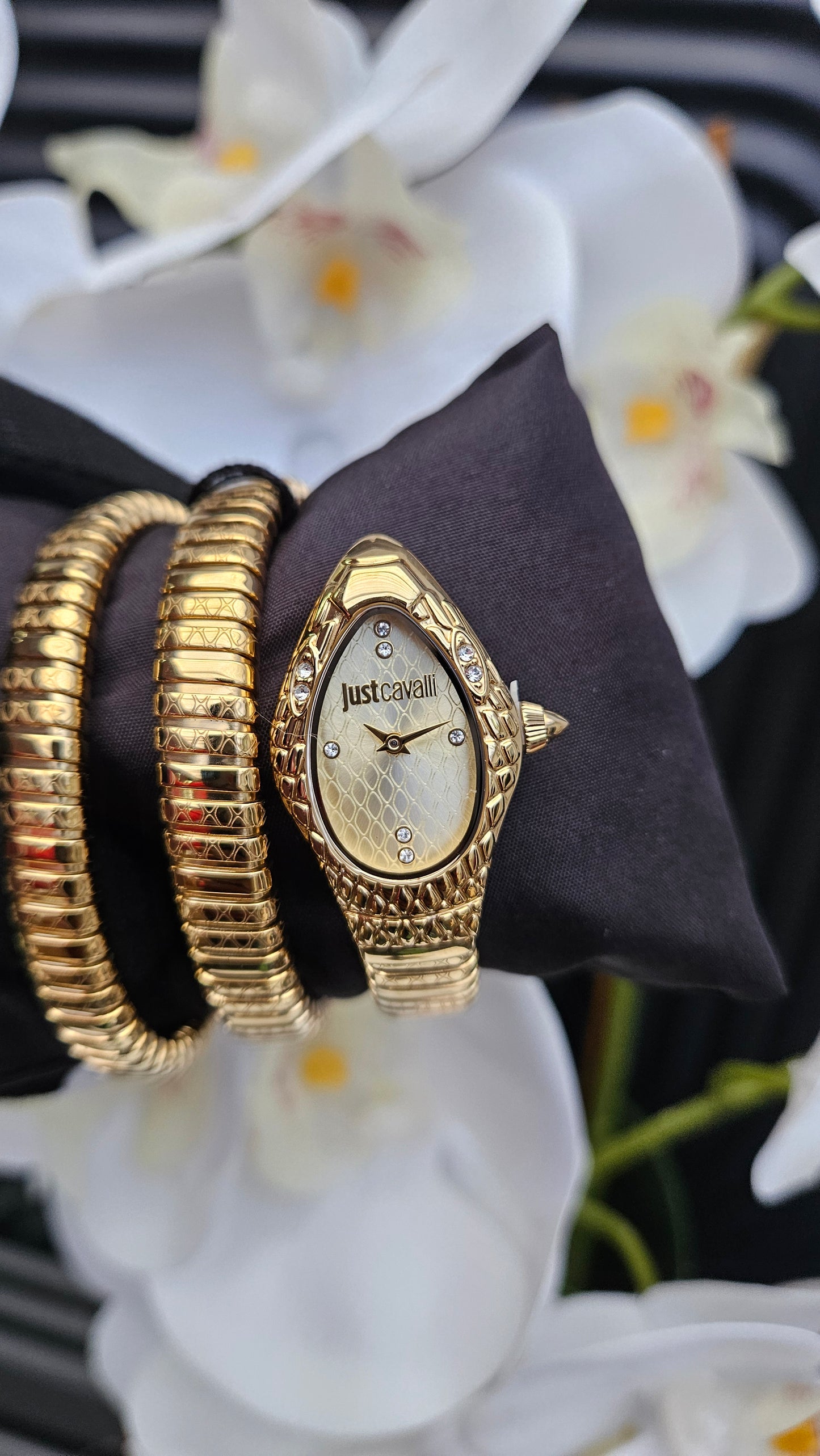 JC Ladies Gold Watch