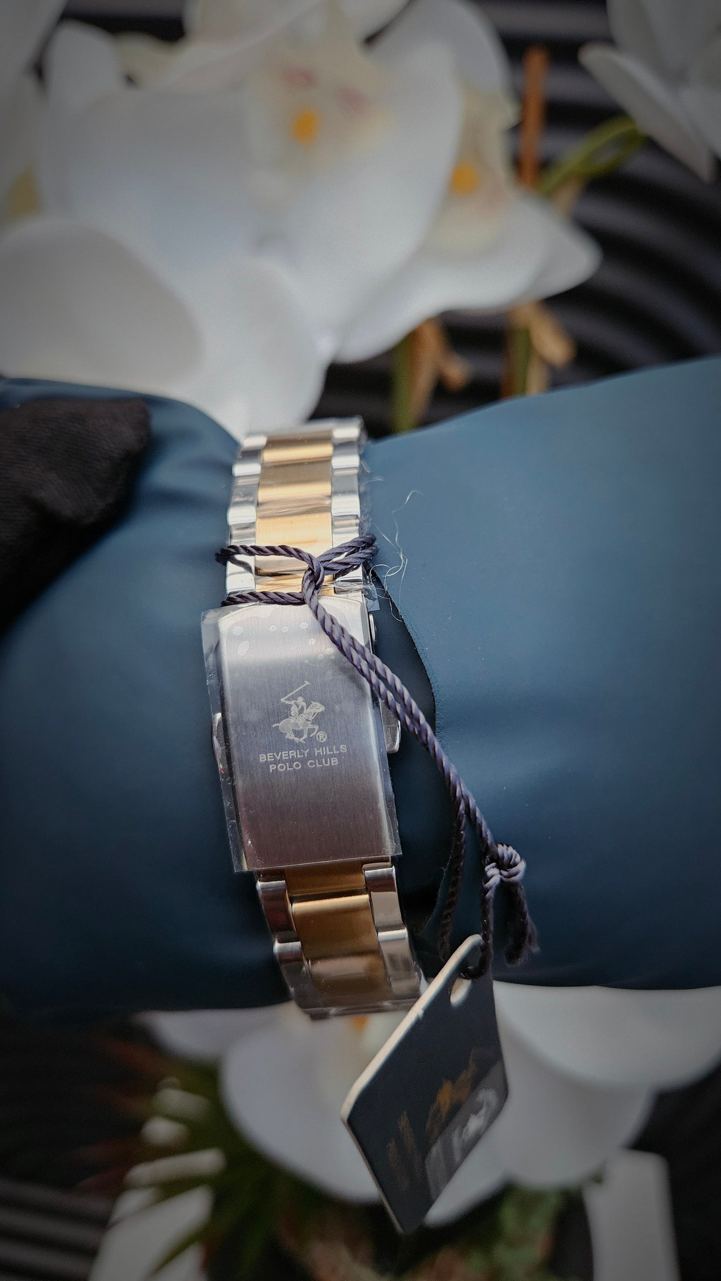 Beverly Hills Polo Club Diamond Ladies Watch