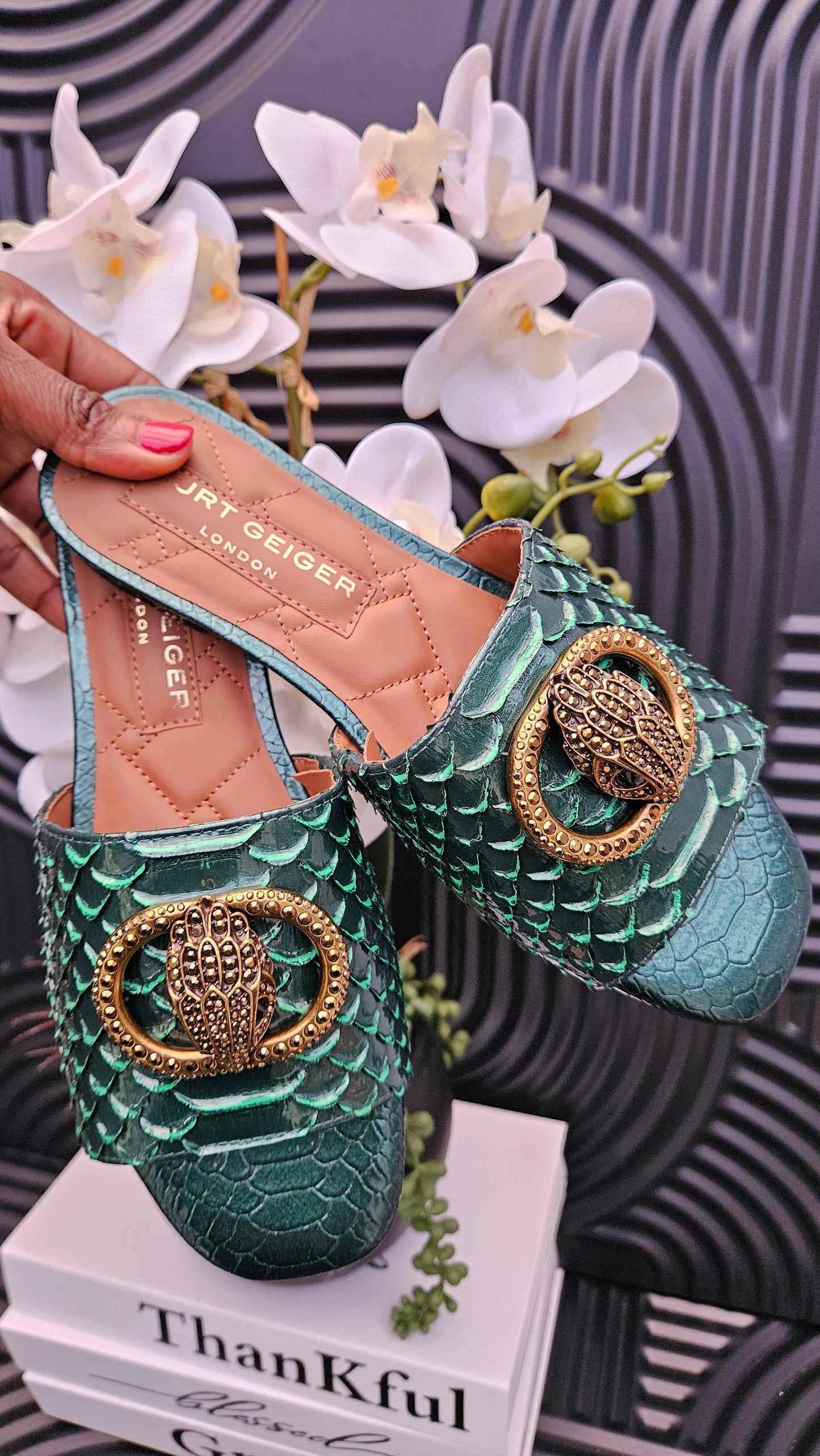 Kurt Geiger KG Flat Sandal
