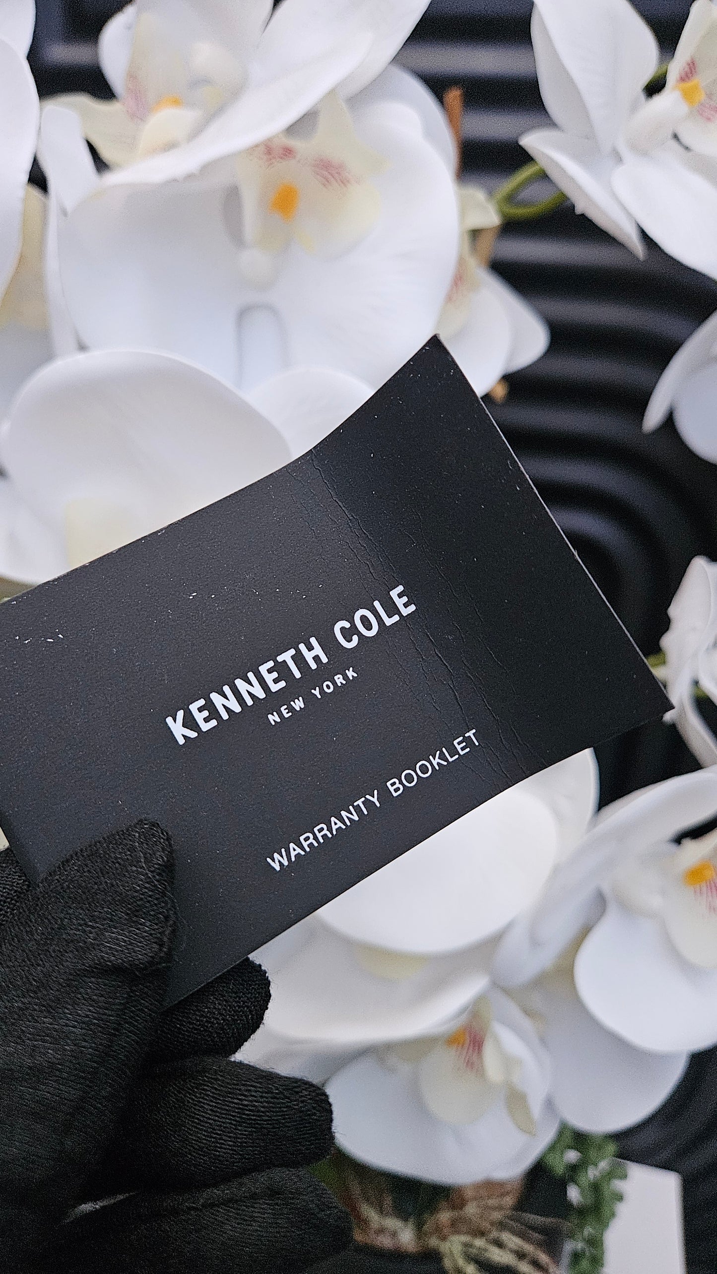 Kenneth Cole Brown Leather Automatic Watch