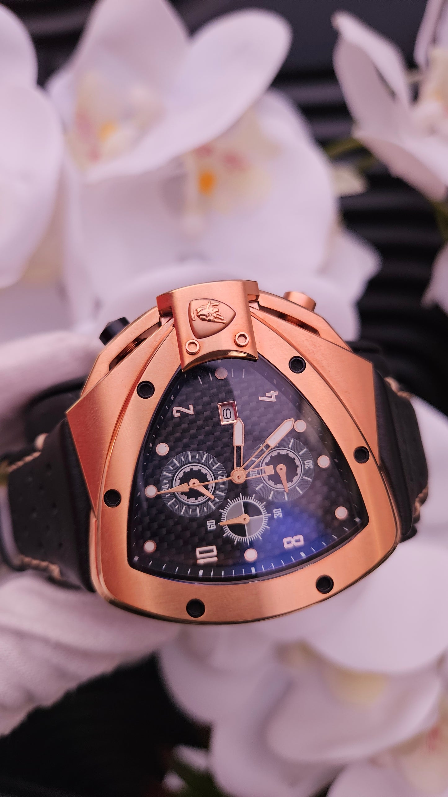 T. L Men's Chronograph Watch