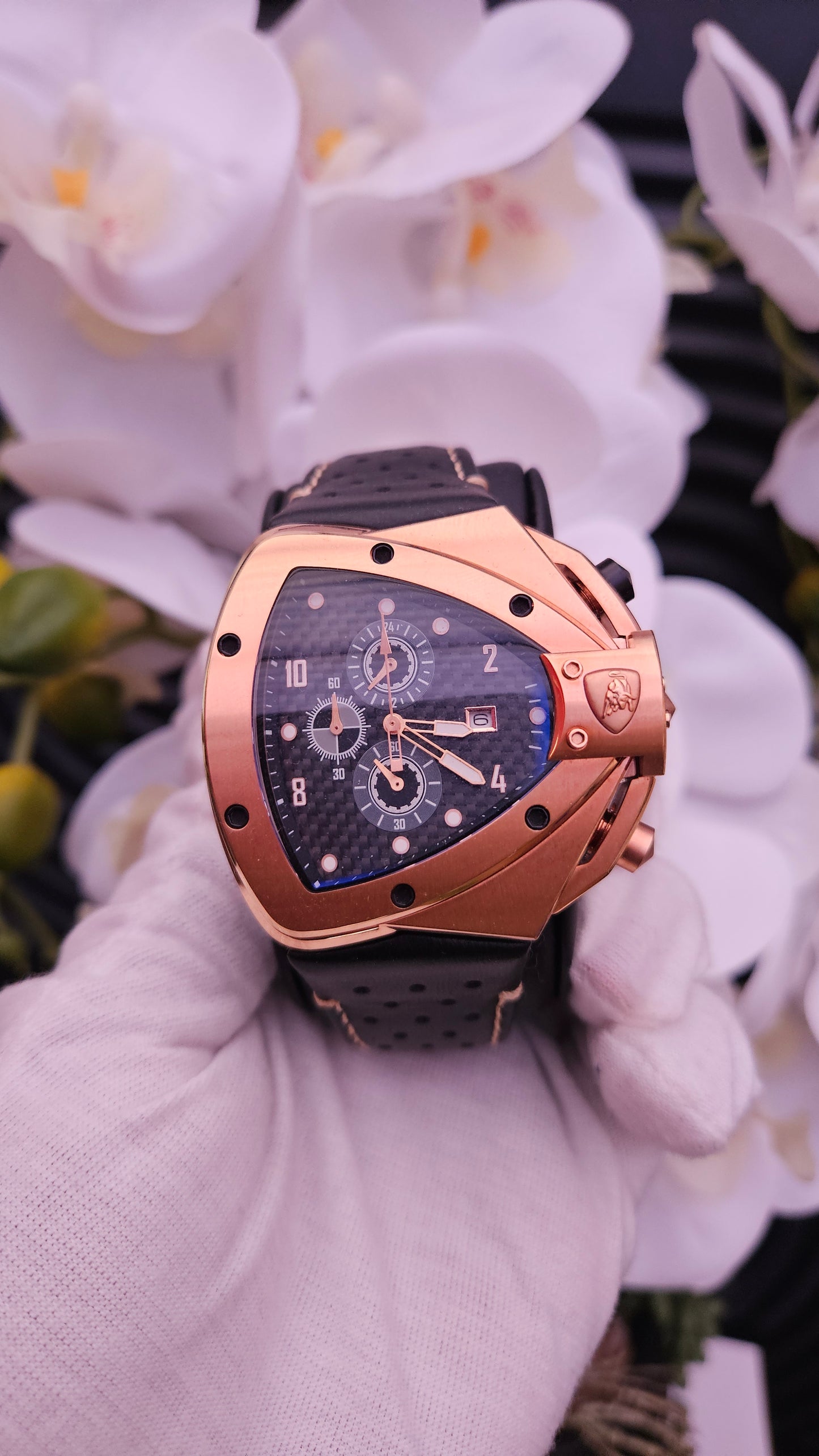 T. L Men's Chronograph Watch