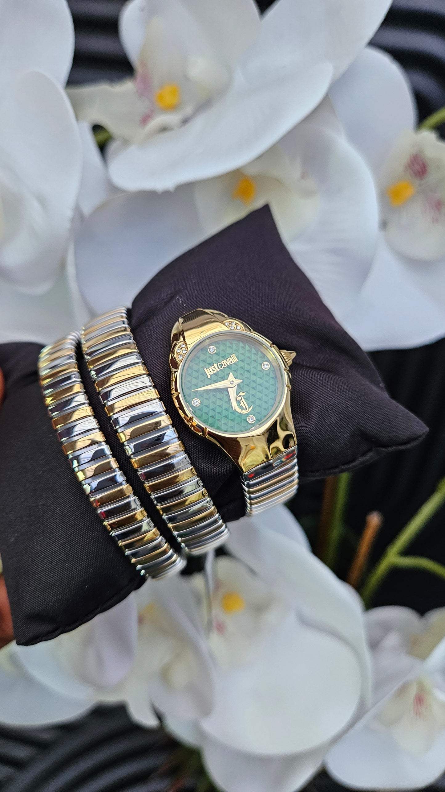 JC Stainless Steel Two Tone Snake Wrap Watch