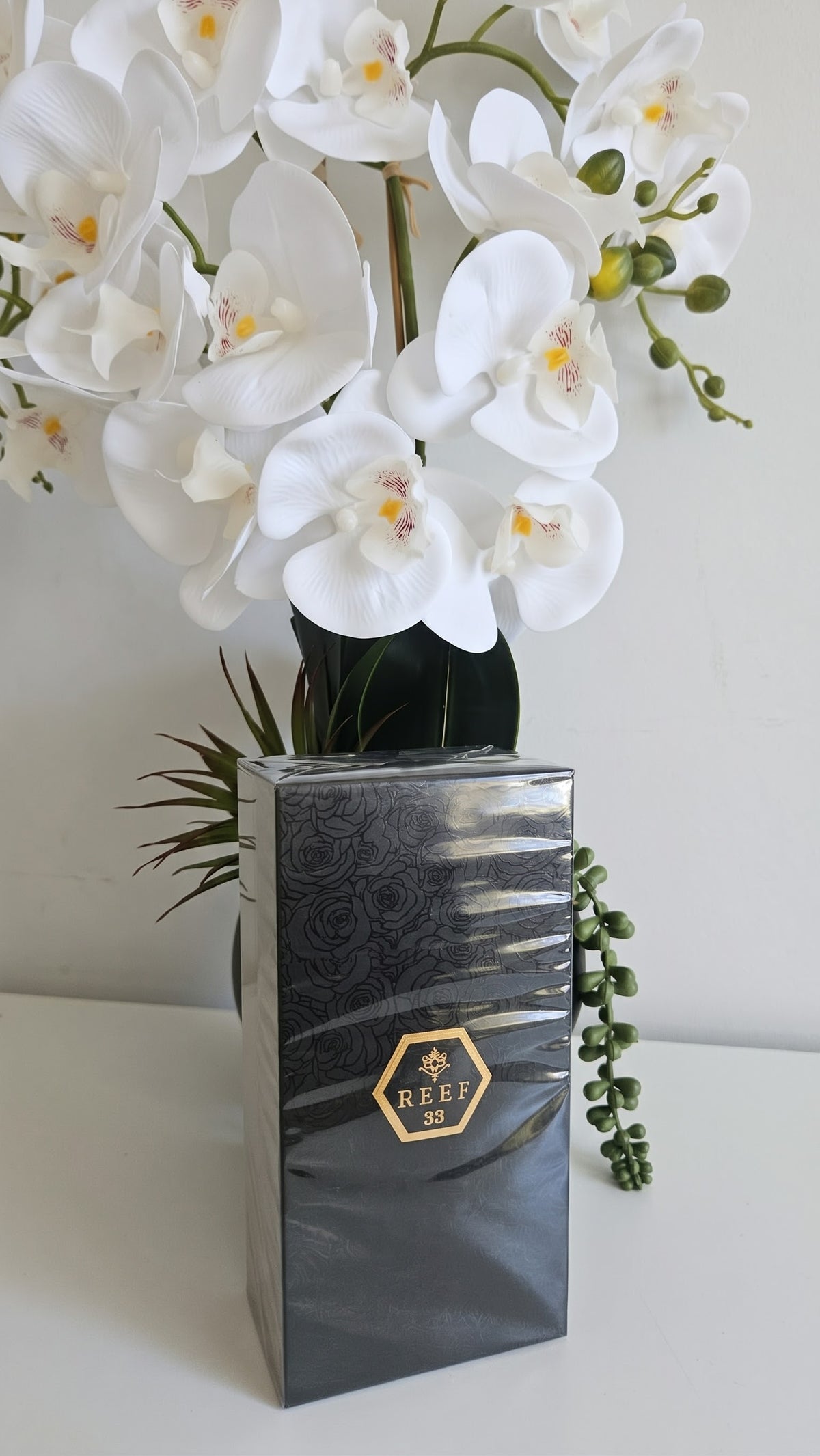REEF 33 EDP 100ml Classic Perfume- UNISEX